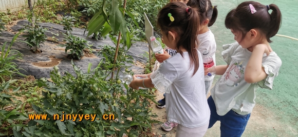 附件：IMG_20210602_150956.jpg.jpg