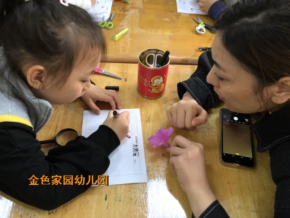 附件：IMG_1119.JPG