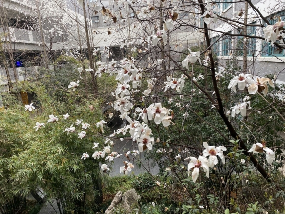 附件：E2D6D57599F08D3D40882F20C5A4FBAD.png