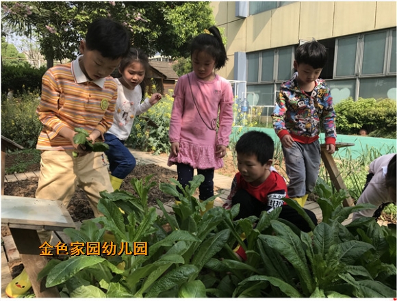 附件：IMG_2192.JPG