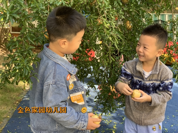 附件：IMG_8699.JPG