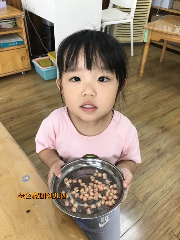 附件：IMG_1181.JPG