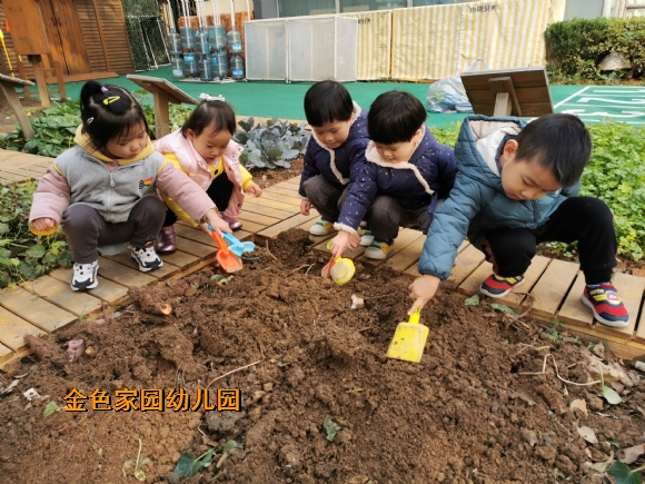 附件：IMG_20201203_100254.jpg