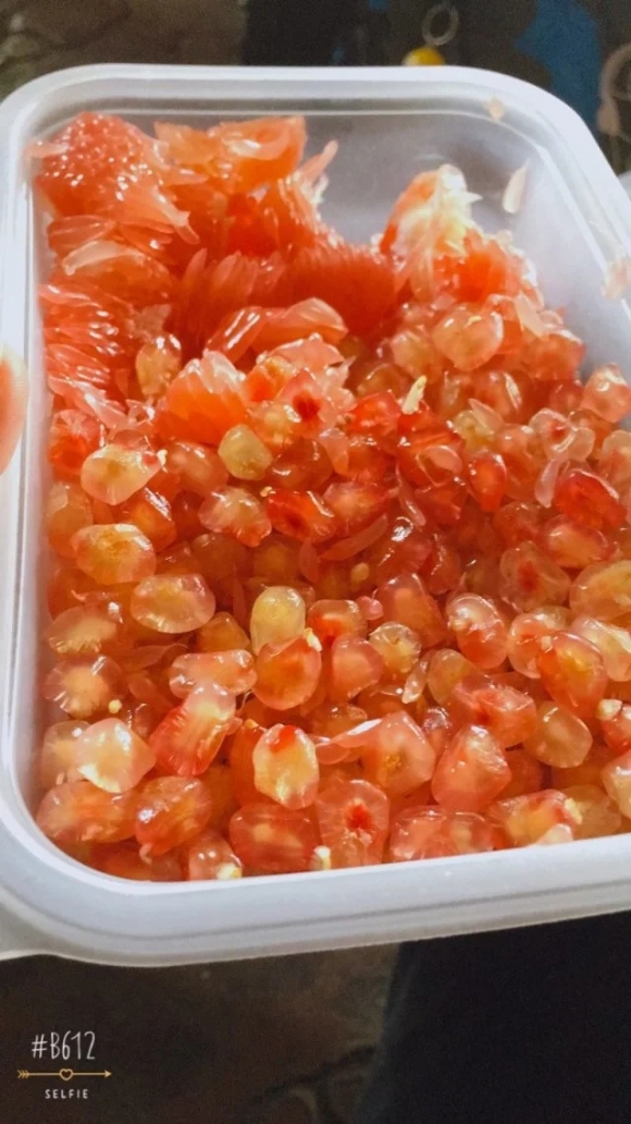 附件：800.webp.jpg