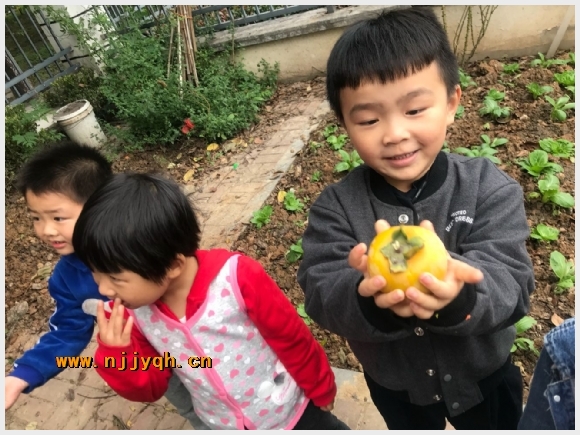 附件：QQ鍥剧墖20171023094558.jpg