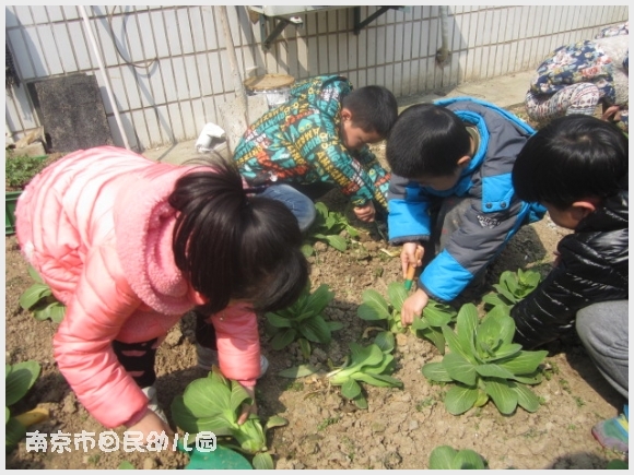 建邺教育信息网