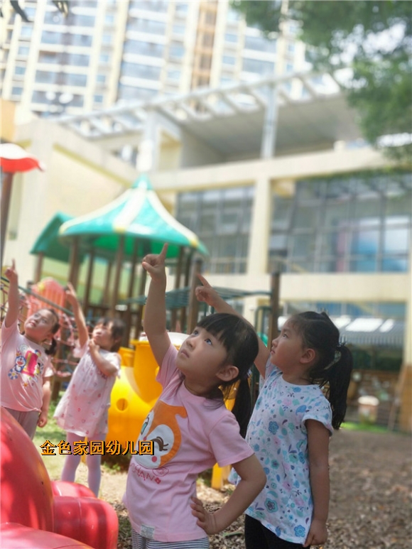 附件：B83DA64C9976E1562A9A6EBCA58552E9.jpg