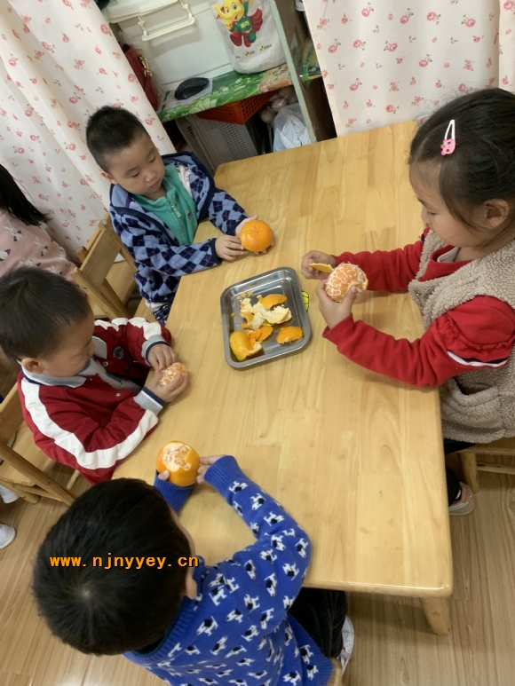 附件：IMG_2737.JPG