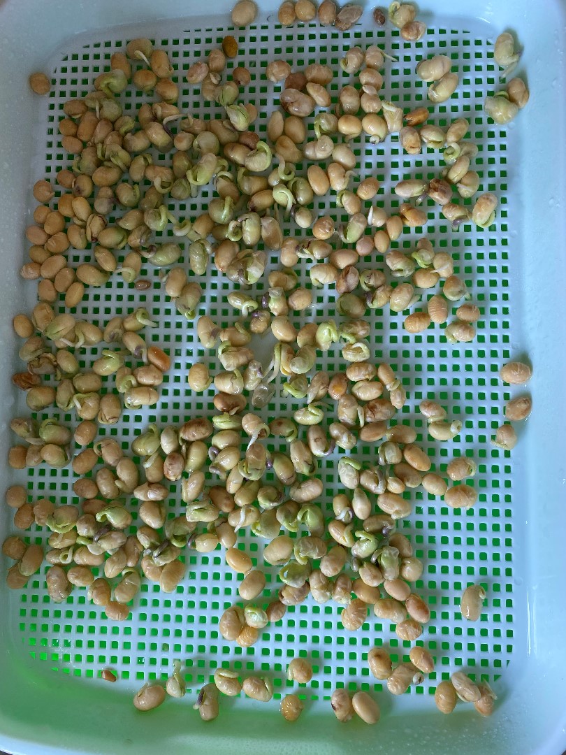 20201026125411055.jpg IMG_9929.jpg