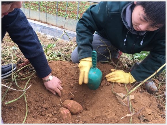 建邺教育信息网