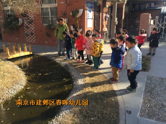 附件：conew_img_7217.jpg