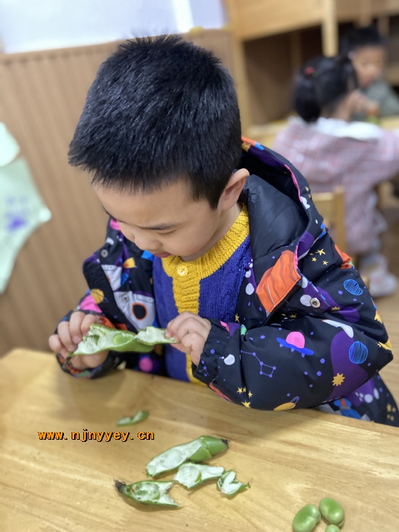 附件：IMG_3935.JPG