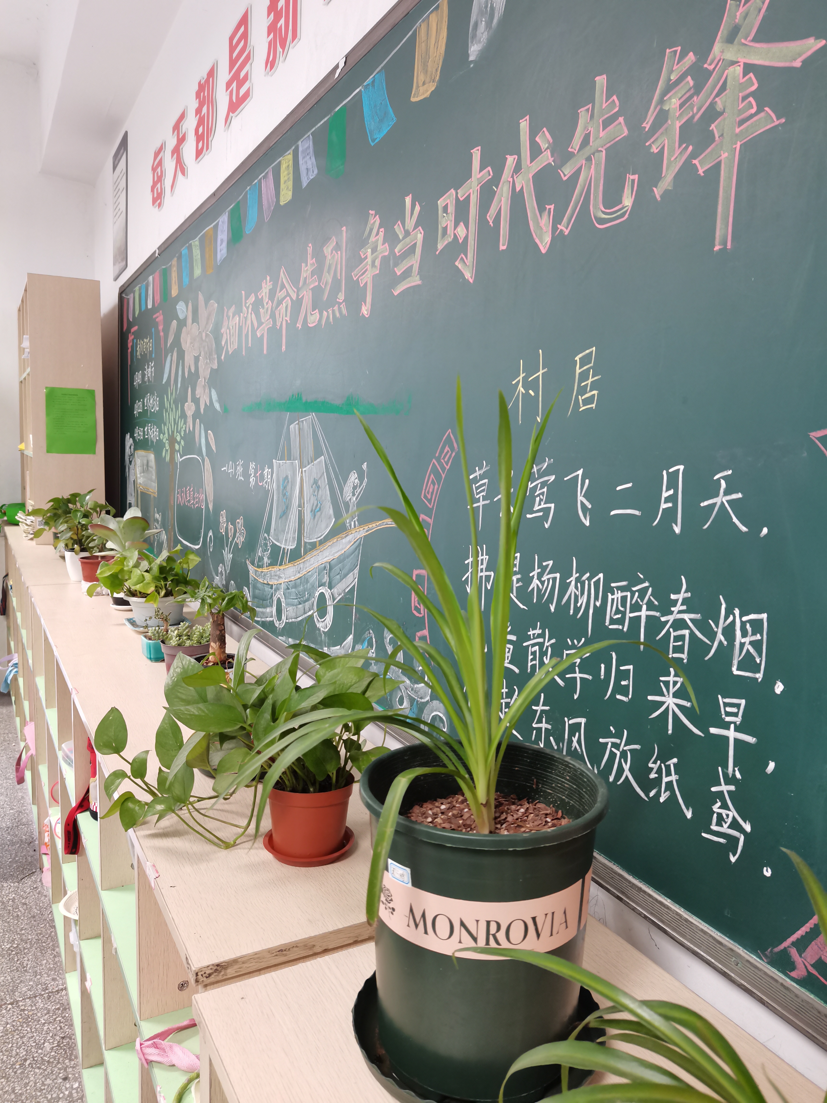 我为班级添新绿.jpg
