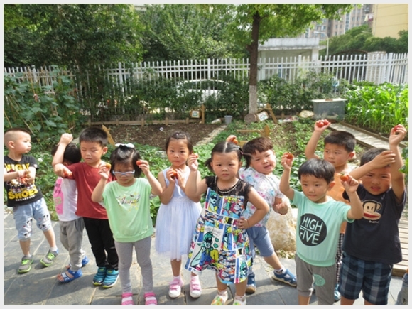 附件：IMG_4023.JPG