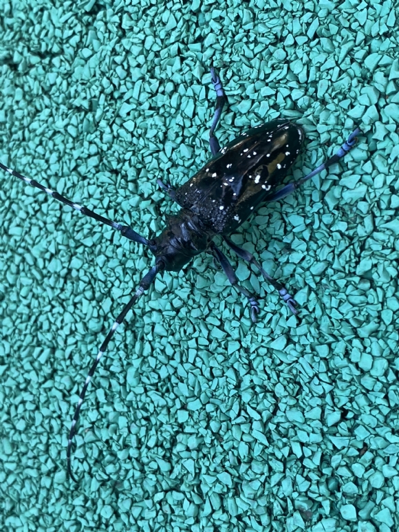 附件：C9CA11AB8A804C811BBDF1ECE0E19148.png