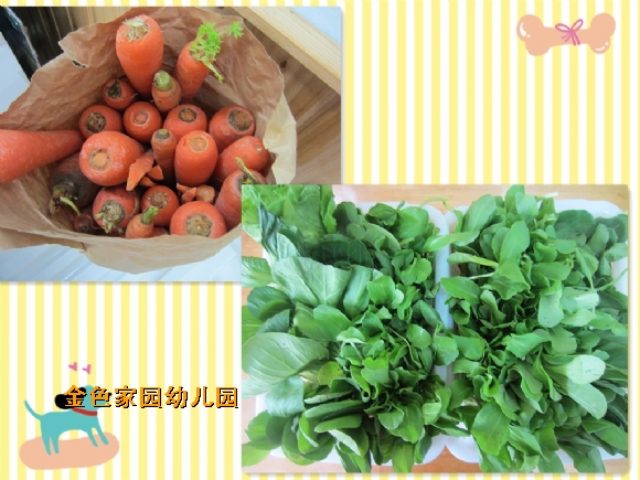 附件：IMG_0677_鍓湰.jpg
