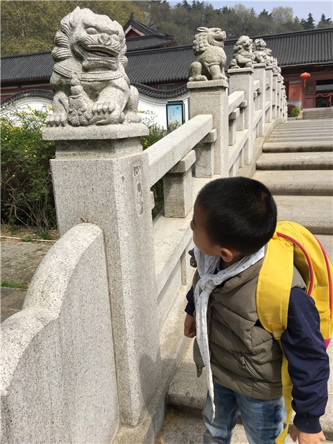 附件:IMG_0206.JPG 附件:IMG_0206.JPG