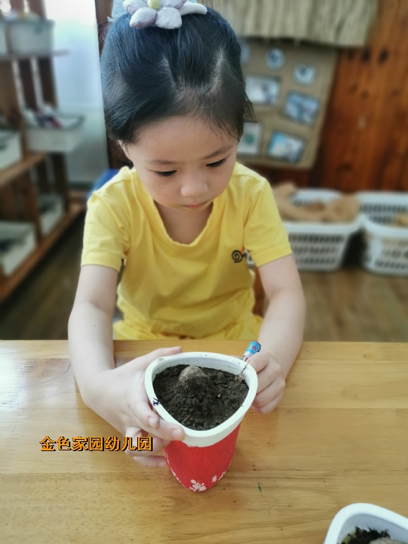 附件：IMG_20220919_152005.jpg