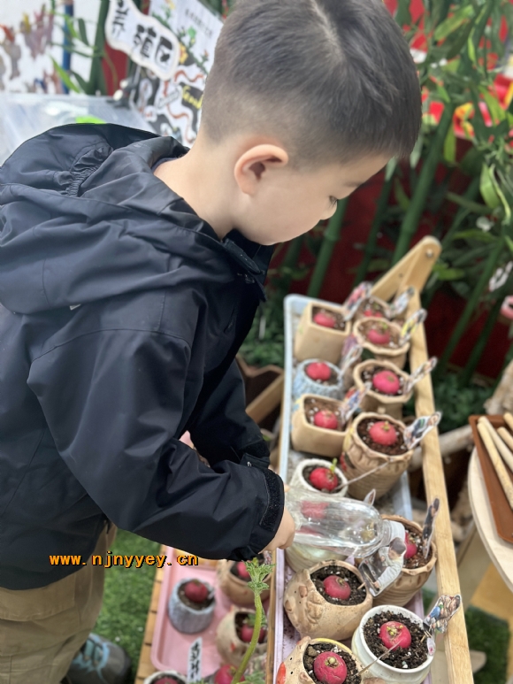 附件：IMG_2169(20240428-081107).JPG