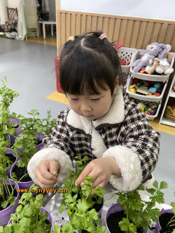 附件：IMG_3867(1).JPG