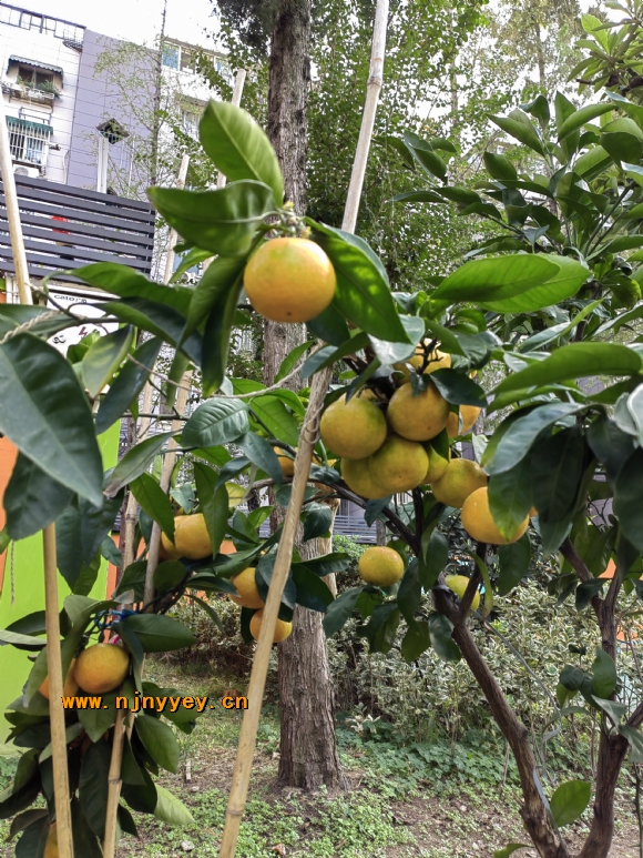 附件：1.jpg