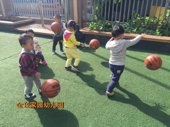 附件：IMG_8529.JPG