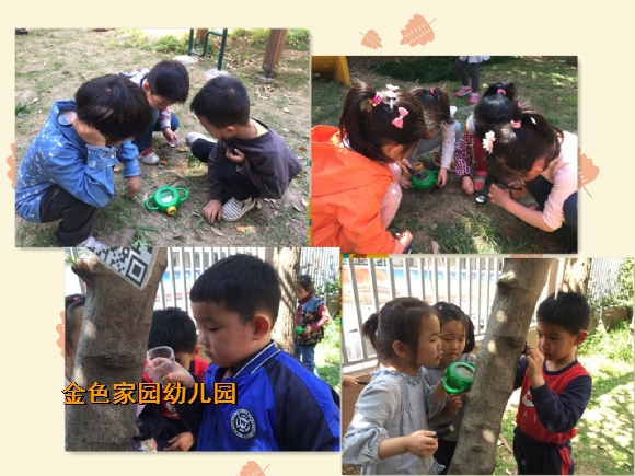 附件：IMG_2909_鍓湰.jpg