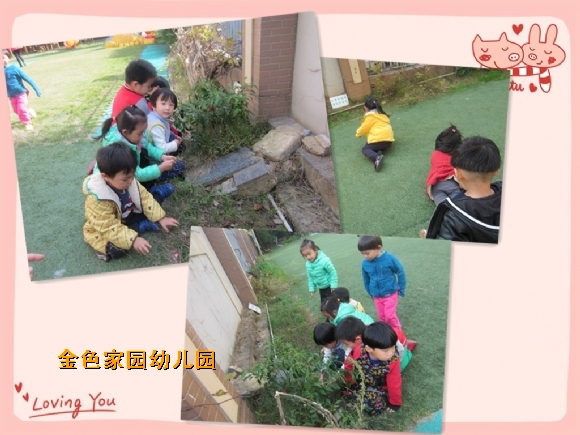 附件：2016111811029084.jpg