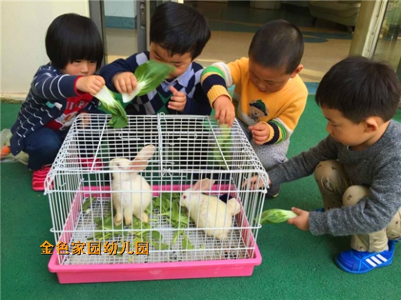 附件：QQ鍥剧墖20150506150352.jpg