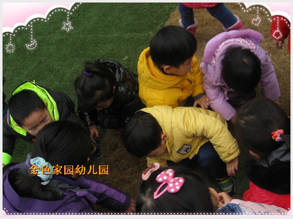 照片 010_副本.jpg