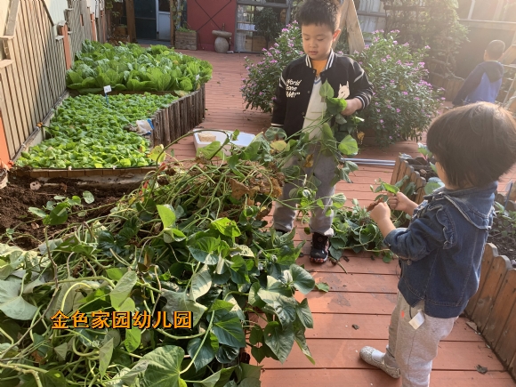 附件:mmexport1668389533085.jpg 附件:mmexport1668389533085.jpg