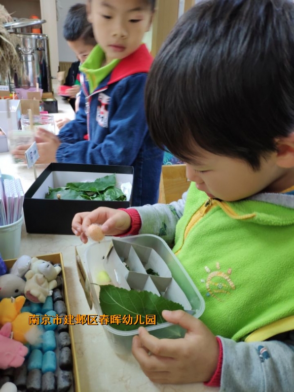 附件：QQ图片20180424084640.jpg
