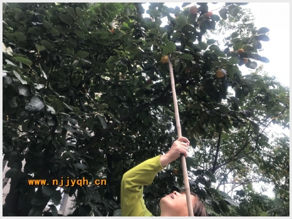 附件：QQ鍥剧墖20171023094524.jpg
