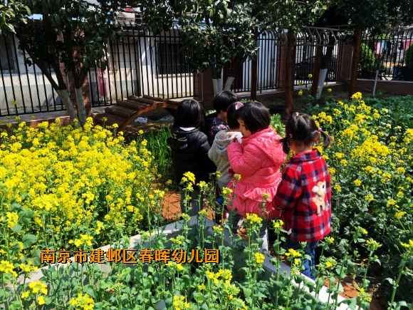 附件：conew_img_8503.jpg