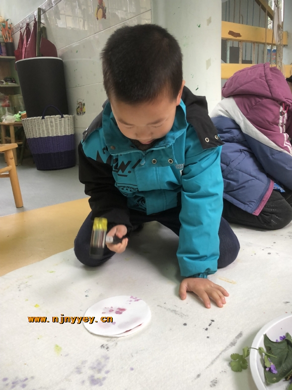 附件：IMG_5073.JPG