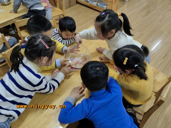 附件：BADAC7309D5F22225F1E9F8F4E9843B1.jpg