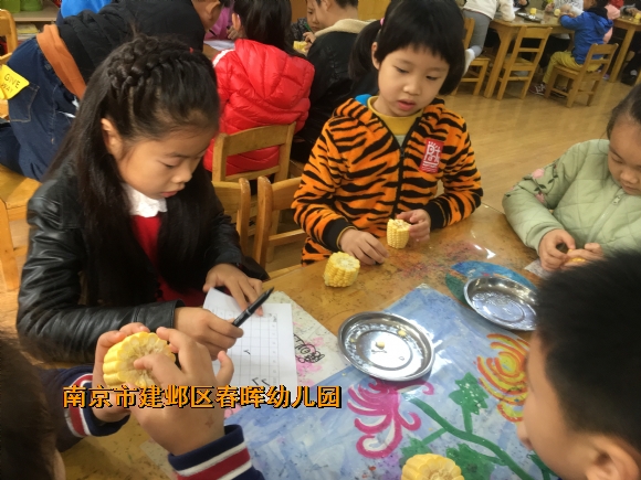 附件：IMG_0202.JPG