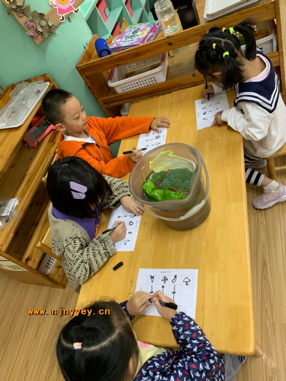 附件：IMG_2279(20211103-201848).JPG