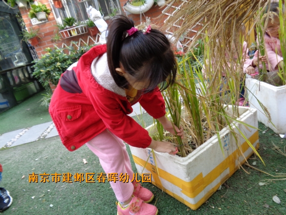 附件：DSC03063.JPG