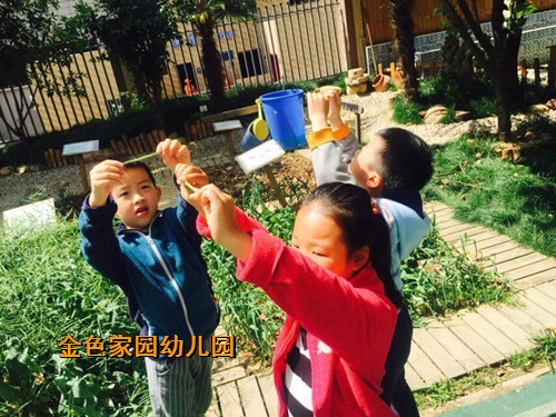 附件：33.jpg