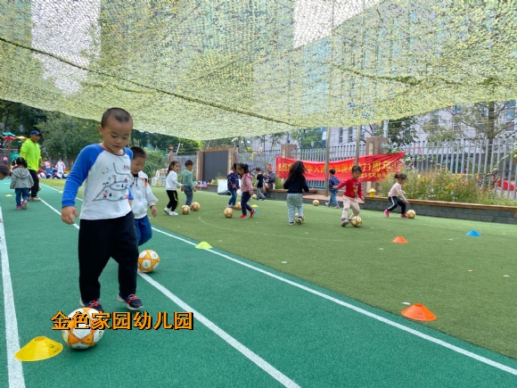 附件：IMG_4425(20201026-164123).JPG