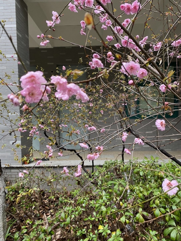 附件：A6DFF90AC0AFD2AAAAD95A9AC7D65922.png