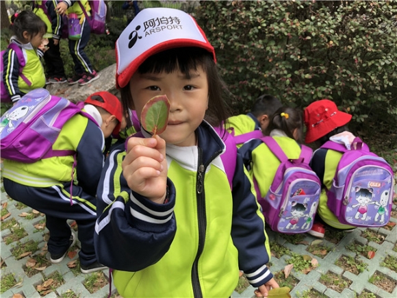 附件:IMG_0208.JPG 附件:IMG_0208.JPG