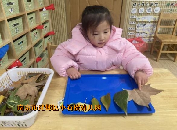 附件：2.png