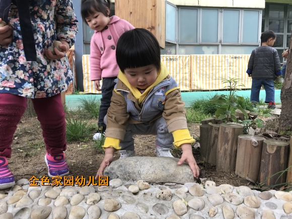附件：IMG_6972.JPG