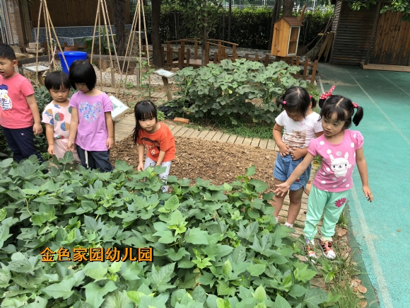 附件：IMG_0272.JPG