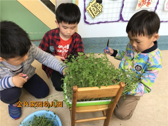 附件：IMG_1725.JPG