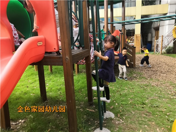 附件：IMG_20190621_152124.jpg