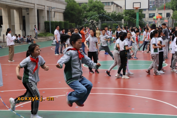 附件：IMG_7530.jpg