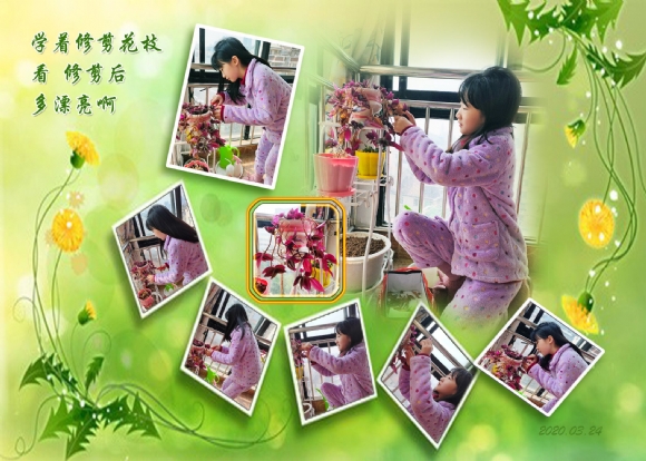 附件：QQ图片20200611165314.jpg
